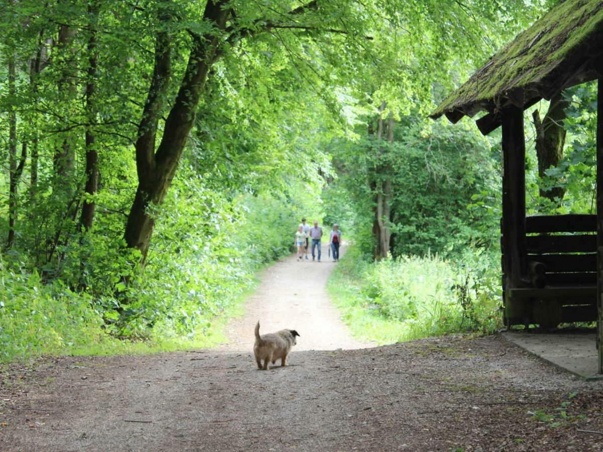 Haus Wiesenttal Waischenfeld Eksteriør billede